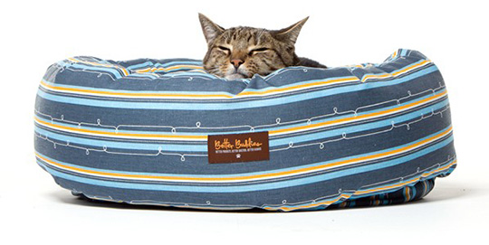 Eco-friendly Cat Beds from Better Buddies