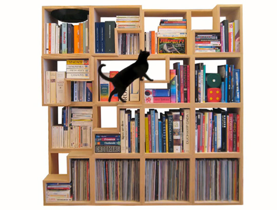 The Cat Library