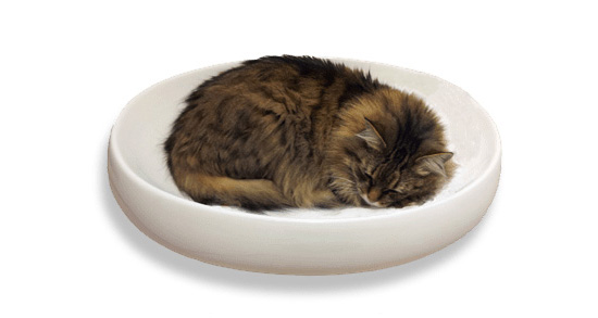 Cats Contour Ceramic Cat Bed from Little Cat Designs