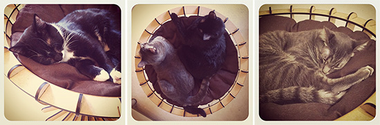 The Goblet Cat Bed from KittiCraft
