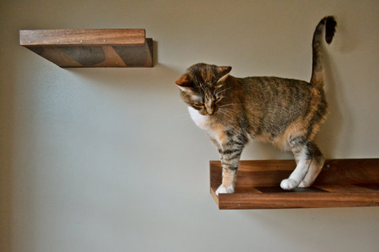 Kitty Overlords Cat Shelves