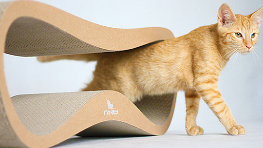 myKitty Designer Cat Furniture from Poland