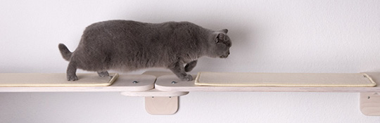 Profeline Cat Climbing Towers & Scratchers from Germany