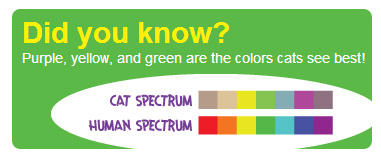 Cat Vision Color Spectrum
