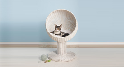 refined feline kitty ball