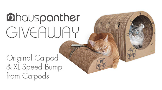 Catpods Giveaway