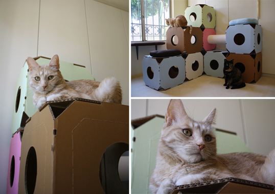 Catty Stacks Modular Cat Habitat