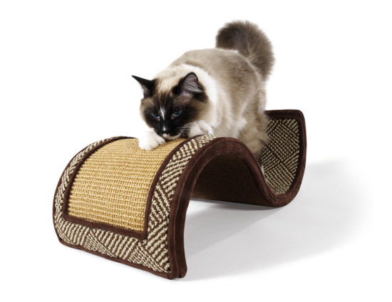 Dream Curl Cat Scratcher