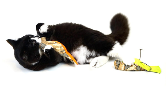 Eco-friendly Designer Cat Toys from GO!PETDESIGN