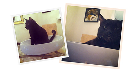 Cat's Contour Ceramic Cat Bed from Little Cat Design