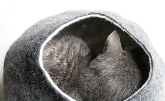 Felted Wool Cat Beds