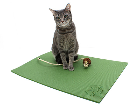 Yoga Cat Mat from Feline Yogi