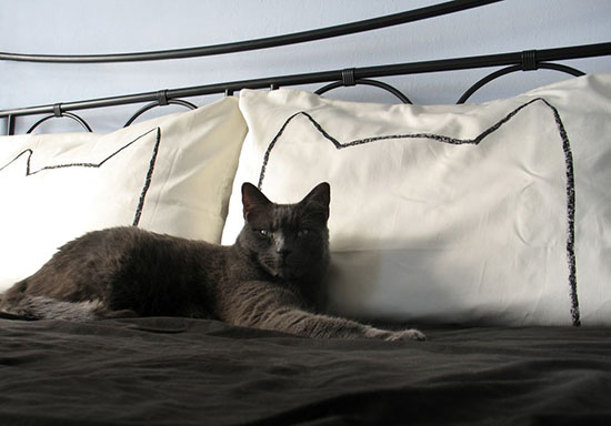 Xenotees Cat Nap Pillowcases