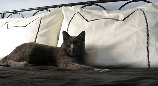 Xenotees Cat Nap Pillowcases
