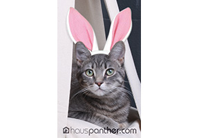 Easter Greetings from Hauspanther