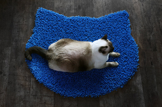 Cat Head Rug from Purrfidious