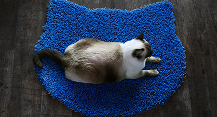 Cat Head Rug from Purrfidious