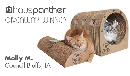 Catpods_winner