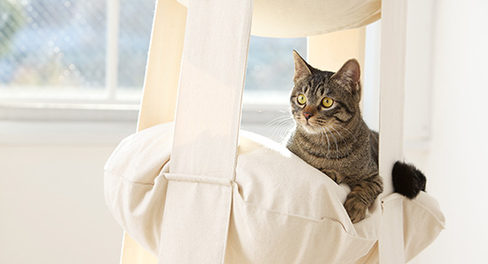 The Original Cat's Trapeze 2-pillow 【公式通販】