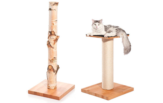 German Designer Cat Scratching Furniture