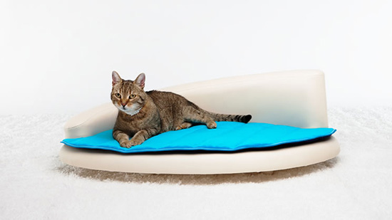 Luxury Pet Furniture from Petiture