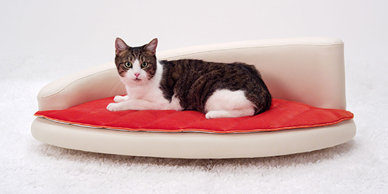 Luxury Pet Furniture from Petiture
