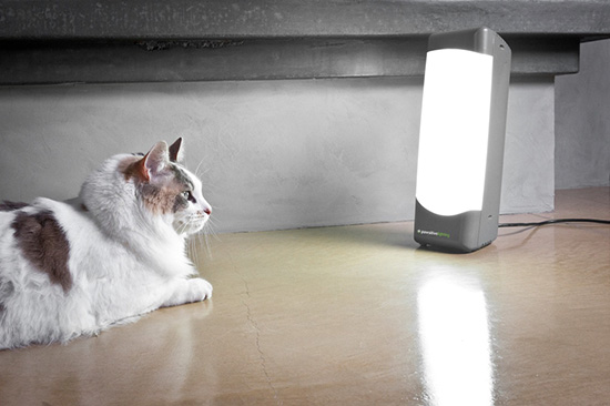 at styre Henstilling Amazon Jungle Sol Box Light Therapy for Your Pet • hauspanther