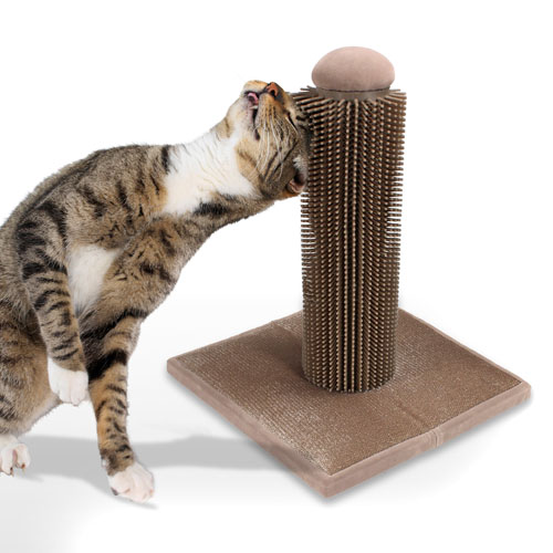 Cat Self Grooming Products
