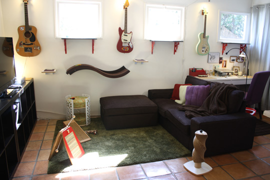 Jackson Galaxy's Los Angeles Home Catification Makeover