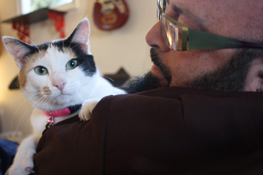 Jackson Galaxy Cat Behaviorist