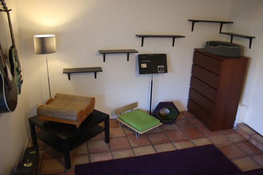 Jackson Galaxy s Los Angeles Home Catification Makeover hauspanther