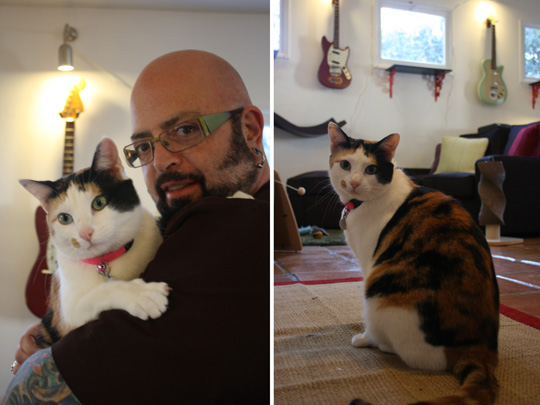 Jackson Galaxy Cat Behaviorist