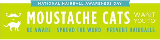 National Hairball Awareness Day 2013