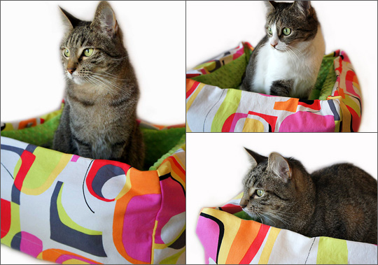 Designer Travel Pet Beds from Sass Muffins