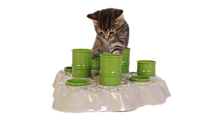 Stimulo Cat Activity Center