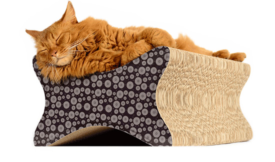 Cat-on Designer Cardboard Cat Scratchers from Germany