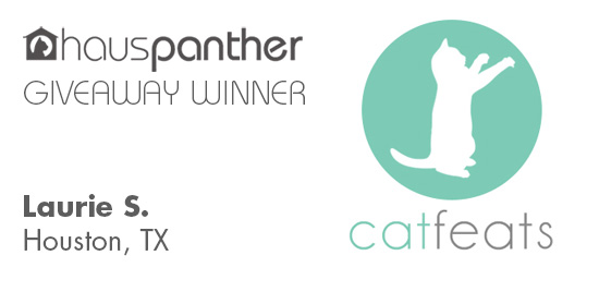 CatFeats_winner