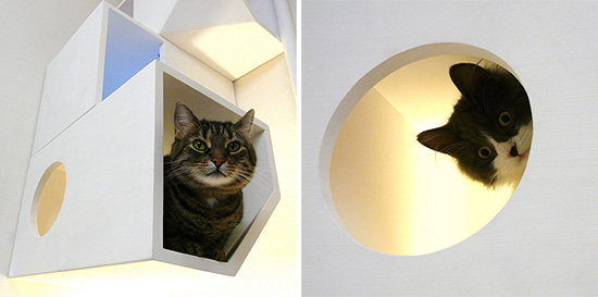 Modern Cat Climbing Furniture from Catissa