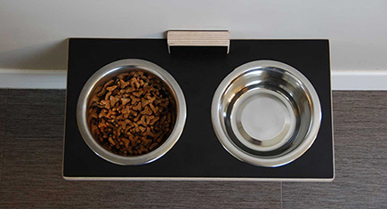 Chow Meow Wall Mounted Cat Feeder