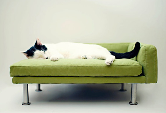 ModPt Miniature Modern Pet Furniture