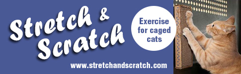 StretchScratch_485x150