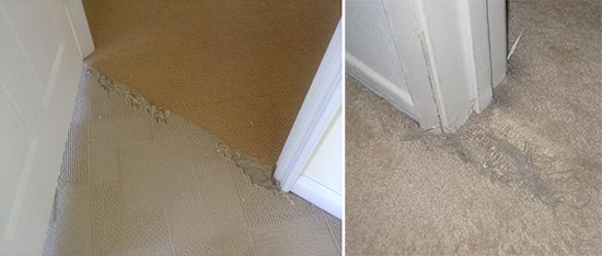 https://www.hauspanther.com/wp-content/uploads/2013/06/carpet.jpg