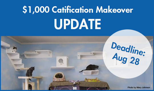 CatificationMakeover2013_Deadline28