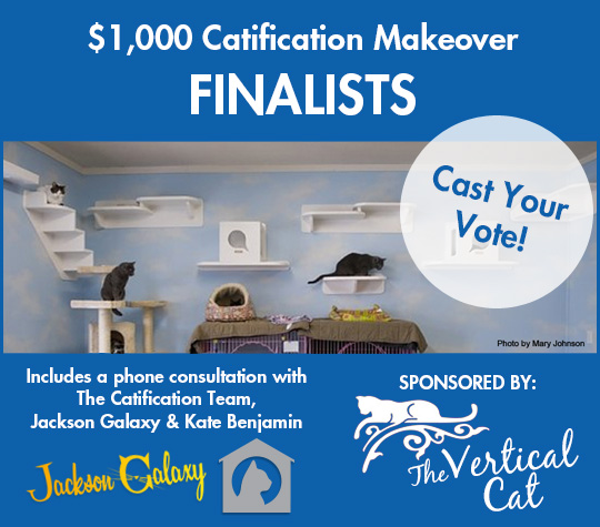 CatificationMakeover2013_finalists