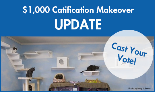 CatificationMakeover2013_update