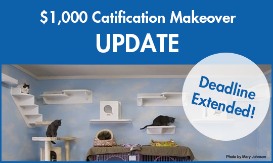 CatificationMakeover2013_update_extended