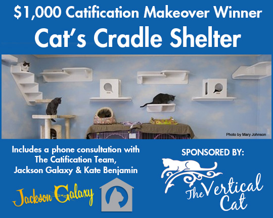 CatificationMakeover_winner