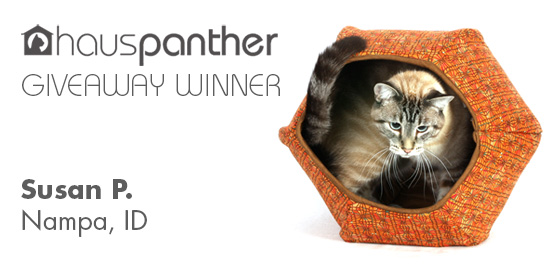 CatBall_winner
