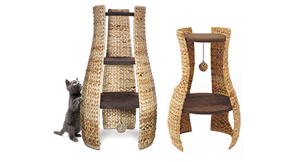 cat tree banana leaf