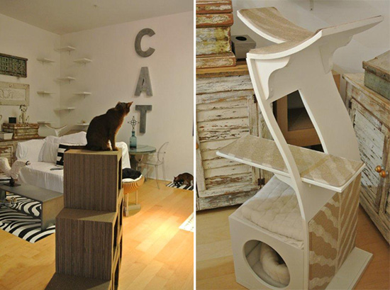 Cat Climbing Shelves, Cat Trees, Catification, San Diego